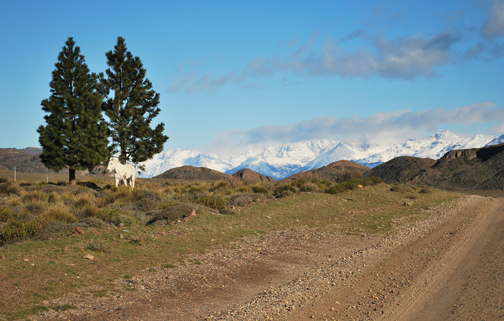 Lago-General-Carrera