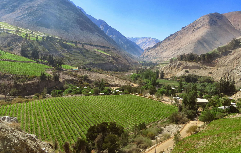 Valle-del-Elqui-Chile